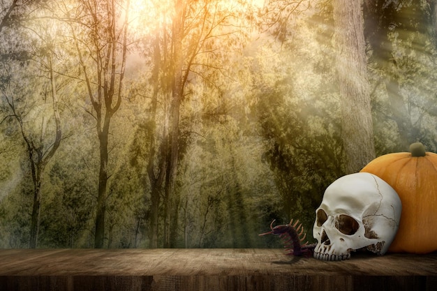 Abóbora e um crânio de cabeça humana no chão de madeira com o fundo da floresta assombrada Conceito bonito de papel de parede de Halloween