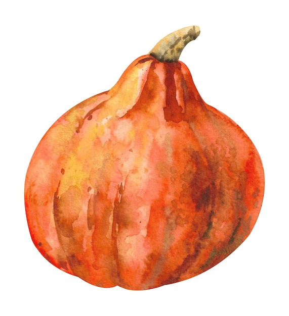 Abóbora em aquarela Abóbora laranja grande com caule