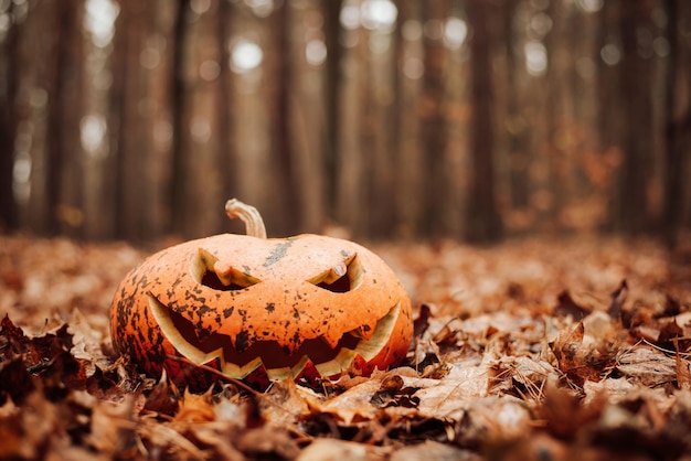 Abóbora Jackolantern na folhagem de outono ao lado das árvores na floresta