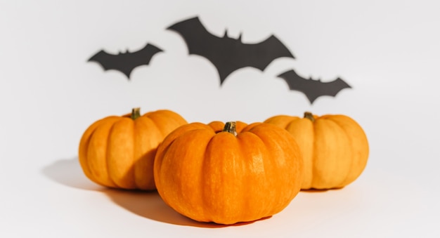 Abóbora laranja madura fresca em fundo branco. Espaço com morcegos conceito de Halloween