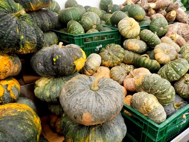 Abóbora no mercado de frutas frescas