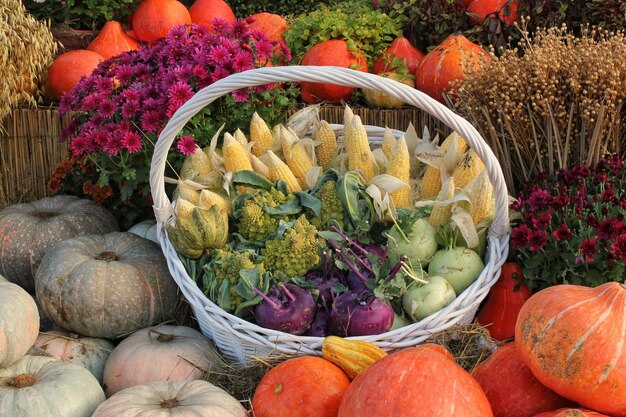 Abóbora orgânica e vegetais em cesta de vime na feira agrícola. Colhendo o conceito de tempo de outono.