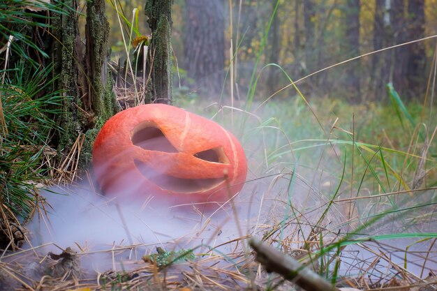 Abóbora sinistra de halloween na floresta de outono em meio a fumaça ou nevoeiro Jack o lantern na grama