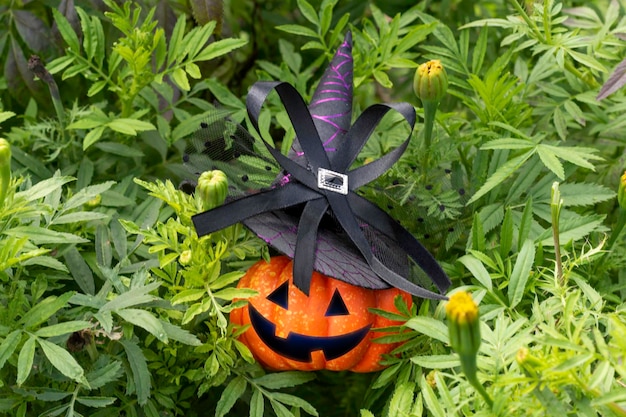 Abóbora usando um chapéu de bruxa para o feriado de Halloween em lanterna verde folhagem jack