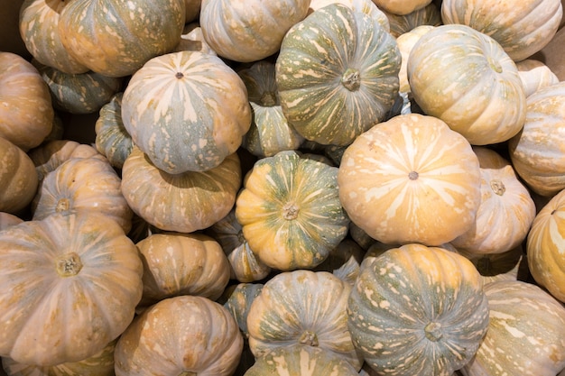 Abóboras amarelas frescas no mercado.