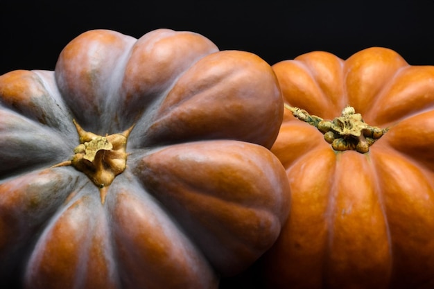 Abóboras com lindos padrões e motivos naturais podem ser usadas no Halloween é realmente charmoso