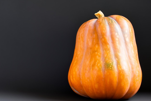 Abóboras com lindos padrões e motivos naturais podem ser usadas no Halloween é realmente charmoso