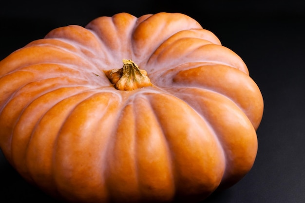 Abóboras com lindos padrões e motivos naturais podem ser usadas no Halloween é realmente charmoso