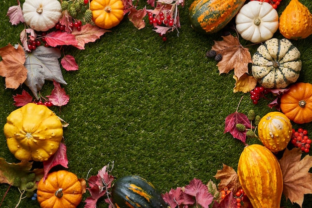 Abóboras de colheita de outono de Halloween Abóboras de diferentes variedades e tamanhos na grama verde e banner de folhas de outono com abóboras e lugar para texto