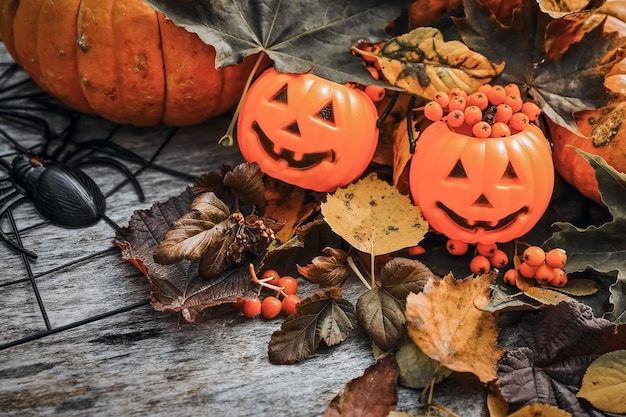 Abóboras de Halloween e aranha em fundo de madeira