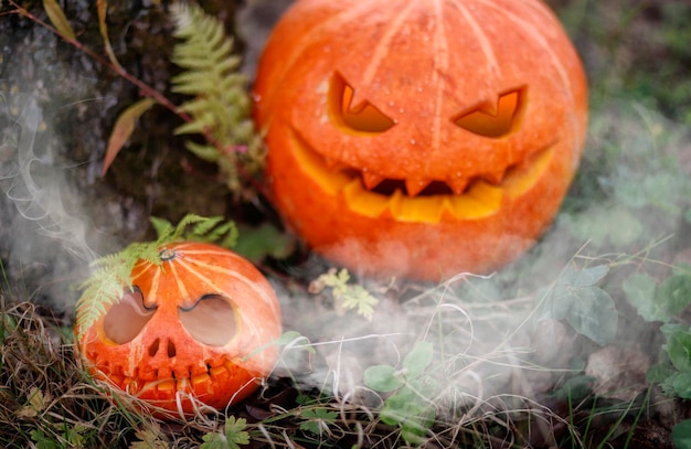 Foto abóboras de halloween fumegantes na floresta de outono em um dia de outono. grande símbolo assustador do halloween