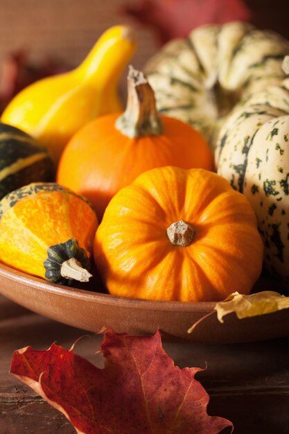 Abóboras de halloween outono em fundo de madeira