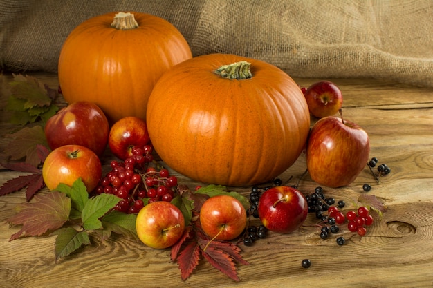Abóboras de outono, maçã, cranberry, cereja de pássaro, folhas em fundo de madeira