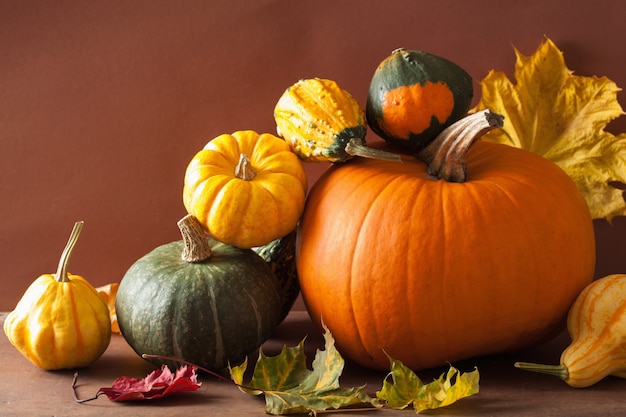 Abóboras decorativas e folhas de outono para o halloween