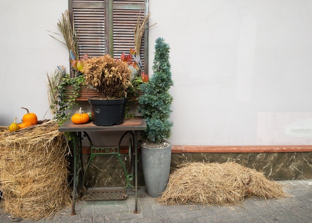 Abóboras e folhas de outono, símbolo da colheita de outono, ação de graças, mabon sabbat e feriado de halloween ...