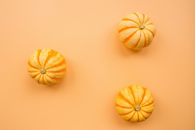 Abóboras em laranja pastel