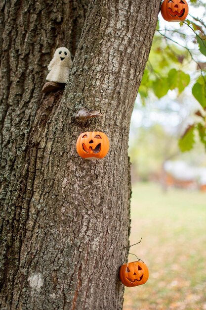 Foto abóboras engraçadas de halloween e um brinquedo fantasma pendurado em uma árvore decoração de halloween