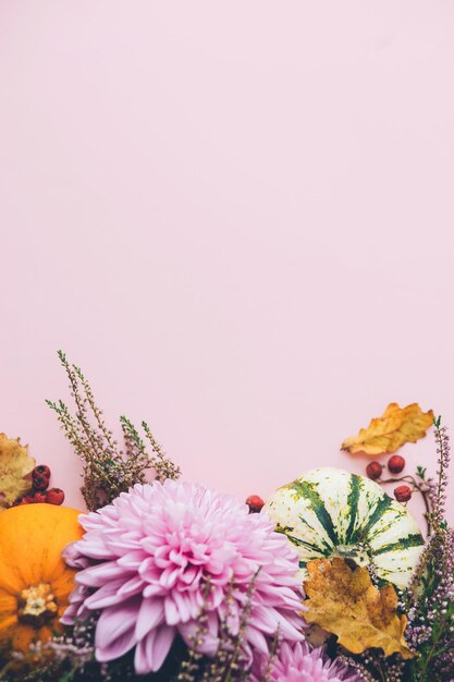 Foto abóboras estilosas, dálias roxas, flores, folhas e urze sobre fundo rosa, outono plano
