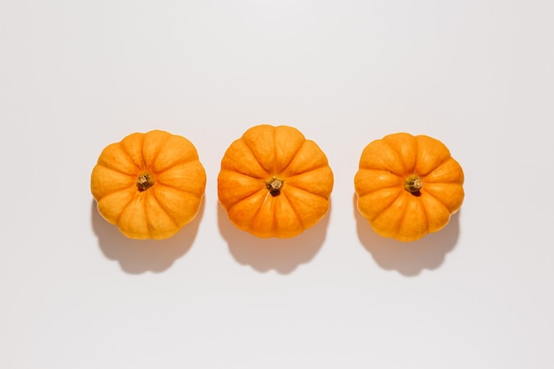 Abóboras frescas de laranja maduras em fundo branco. espaço para maquete de texto do conceito de halloween