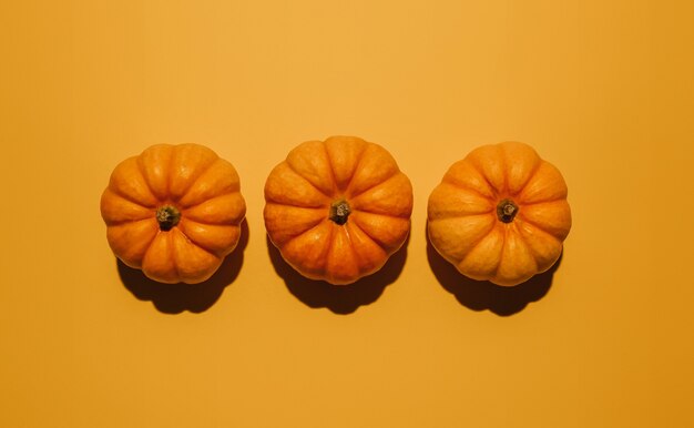 Abóboras frescas maduras em fundo laranja, plana leiga. Espaço para maquete de texto