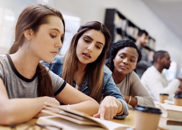 Abordamos esta tarea juntos Toma de dos mujeres jóvenes que tienen una discusión en la biblioteca de una universidad