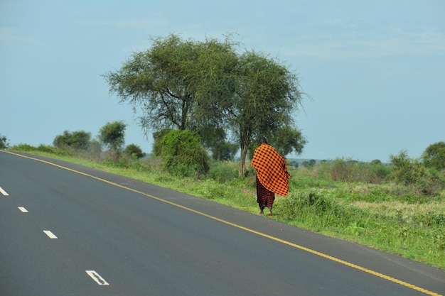 Aborígene Masai na África selvagem Residente nacional da Tanzânia Antigas tradições da África