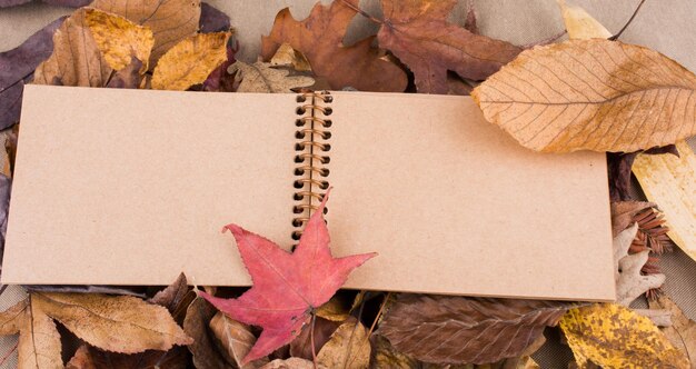 Foto abra un cuaderno en blanco con hojas de otoño caídas como fondo