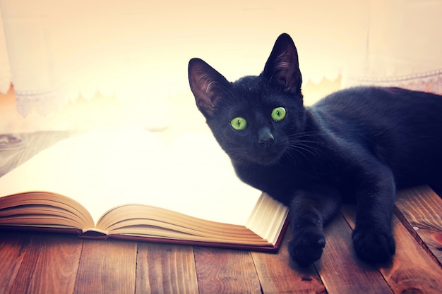 Abra el libro y el gato negro en la mesa de madera.