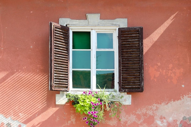 Abra la ventana vintage con flores en la pared de estuco de coral con rasguños Hermosas sombras caen en la pared