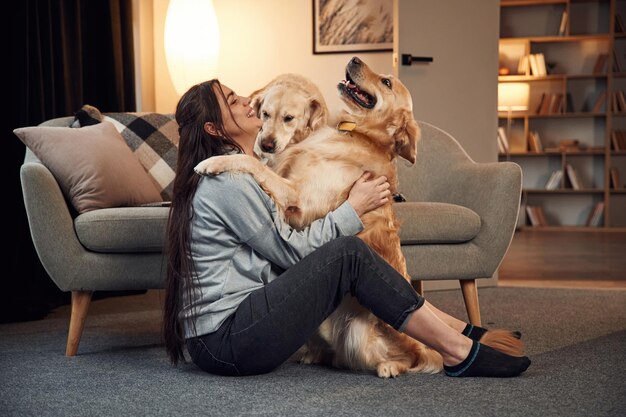 Abraçando e se divertindo Mulher está com dois cachorros golden retriever em casa