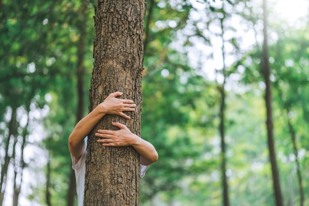 Foto abraço de mão humana e tocando árvore na floresta as pessoas protegem do desmatamento e poluição ou mudança climática conceito de amar a natureza e a ecologia do ambiente de árvores e o conceito do dia da terra