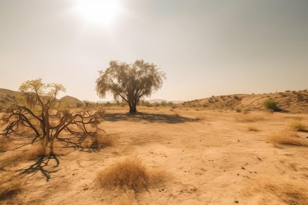 La abrasadora ola de calor del verano devasta el paisaje árido IA generativa