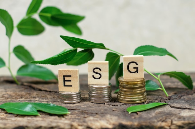 Abreviatura de ESG en cubos de madera en monedas enmarcadas por hojas verdes El concepto de conservación ambiental Gestión social ambiental