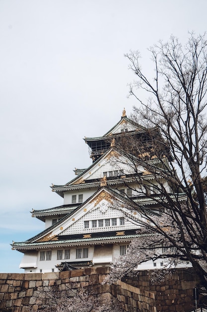 Abril de 2019 Osaka Japão Castelo de Osaka tomado na primavera com flor de cerejeira sakura