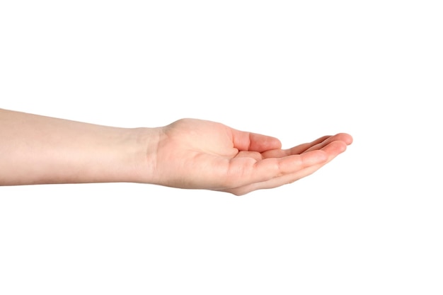 Abrió la mano de una mujer con la palma hacia arriba aislada sobre un fondo blanco