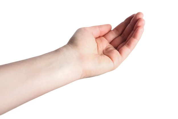 Abrió la mano de una mujer con la palma hacia arriba aislada sobre un fondo blanco