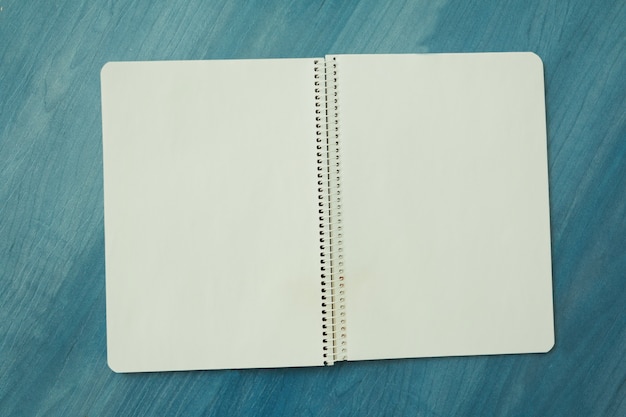 Abrir el cuaderno en blanco