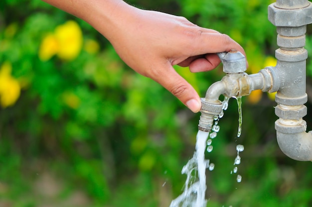 abrir el grifo, grifo de agua, encender el grifo