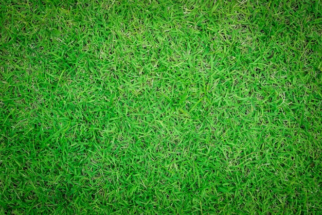 Abschluss herauf Hintergrund des schönen Musters des grünen Grases