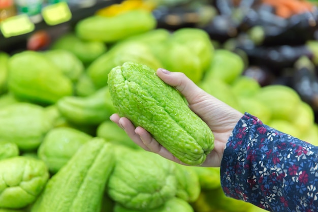 Abschluss oben des grünen Chayote in der Frauenhand.