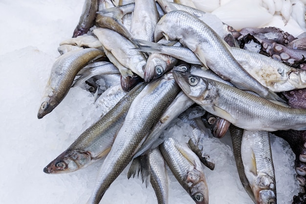 Abschluss oben, frische organische Fischsprotte auf Eis auf Frischmarkt