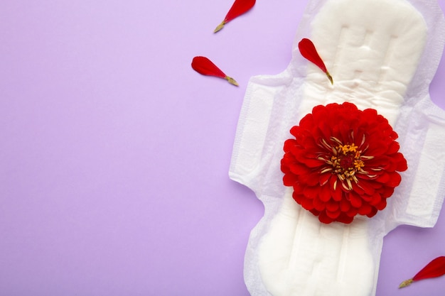 Absorvente higiênico branco, proteção de higiene em um fundo roxo. Ciclo menstrual ginecológico. Uma rosa fica em uma almofada menstrual. Primeira menstruação.