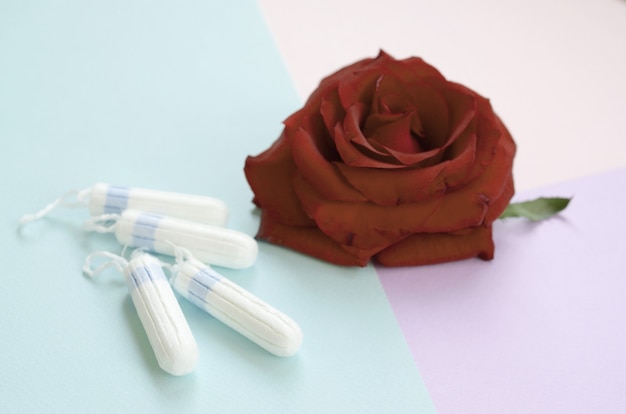 Absorventes menstruais e tampões e flor de rosa vermelha