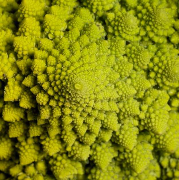 abstract coliflor románico