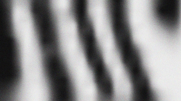Abstracto en blanco y negro líneas verticales borrosas con textura granulada minimalista monocromático artístico ruido de fondo textura cartel encabezado estandarte papel tapiz diseño de portada