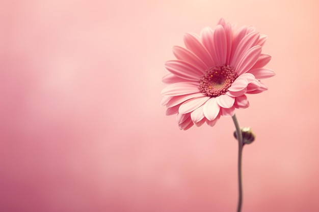 Abstracto borrón de pastel hermoso color rosa melocotón cielo fondo de tono cálido para el diseño como