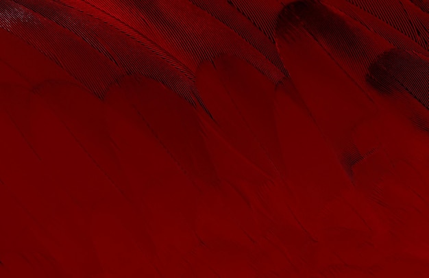 Abstracto Diseño de fondo HD Alfabeto oscuro Color rojo