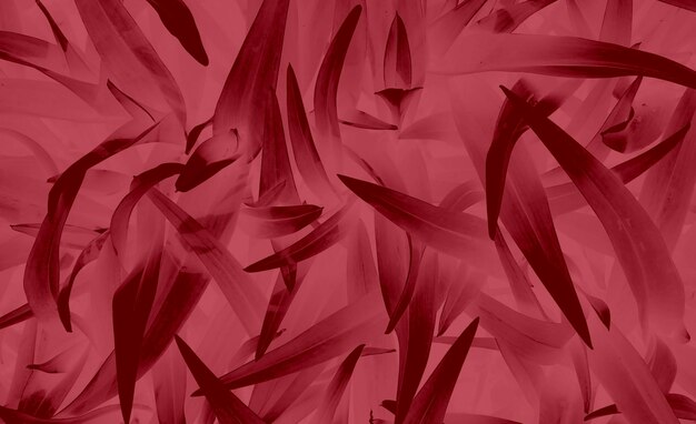 Foto abstracto diseño de fondo hd llama cálida color rojo