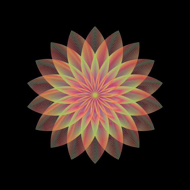 Abstracto Flor geométrica con pétalos radiantes