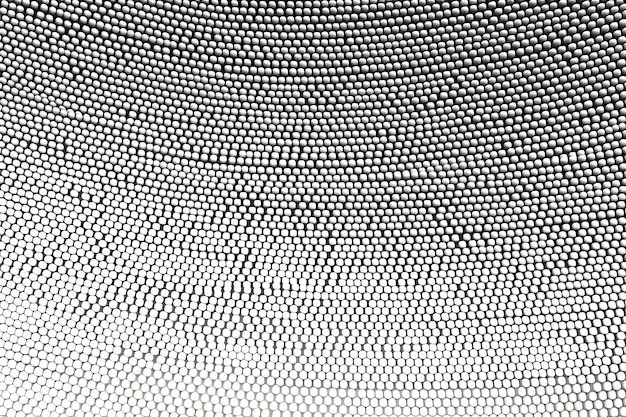 Foto abstracto fondo de gradiente blanco y gris ondas de medio tono diseño de fondo